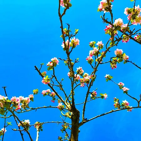 아파트 Du Blanchet Tres Agreable *