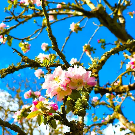 Du Blanchet Tres Agreable Apartament *