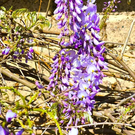 Du Blanchet Tres Agreable Apartament